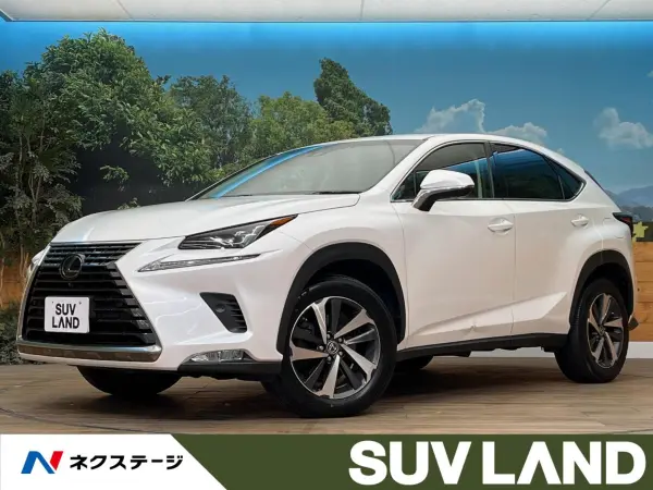 Lexus NX300 I Package 4WD — thumbnail 1