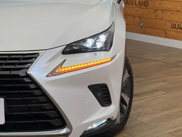 Lexus NX300 I Package 4WD — photo 8