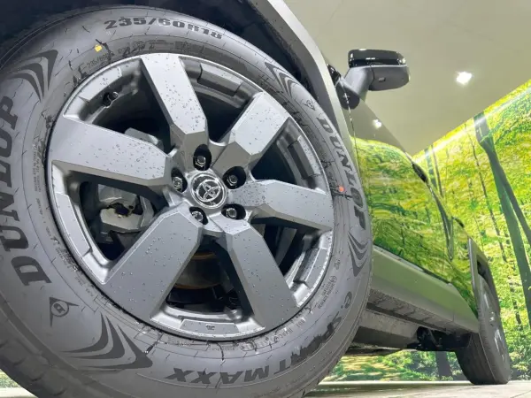 Toyota RAV4 2.5 Adventure E-Four 4WD — photo 9