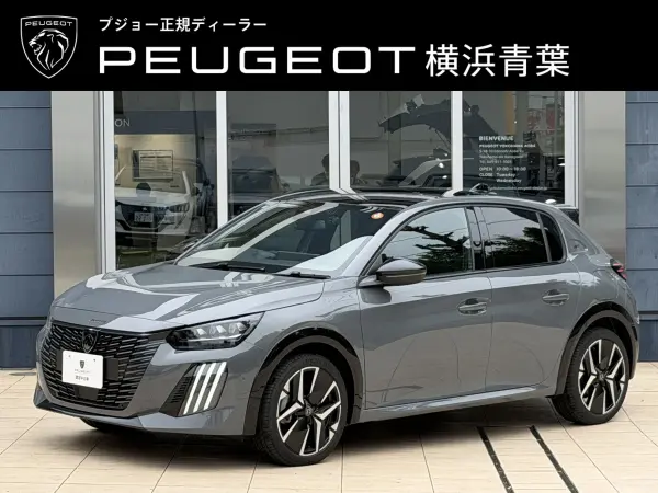 Peugeot 208 GT Selenium Edition