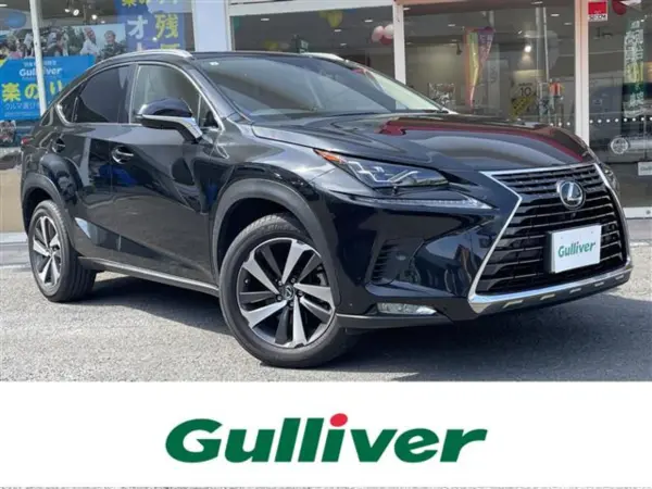 Lexus NX300 I Package SR/Red Leather S/Dashcam/Collision Mitigation/All-Around Monitor/ETC (Black) — thumbnail 1