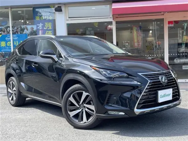 Lexus NX300 I Package SR/Red Leather S/Dashcam/Collision Mitigation/All-Around Monitor/ETC (Black) — photo 8