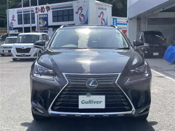 Lexus NX300 I Package SR/Red Leather S/Dashcam/Collision Mitigation/All-Around Monitor/ETC (Black) — photo 9