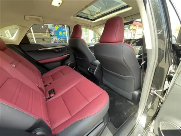 Lexus NX300 I Package SR/Red Leather S/Dashcam/Collision Mitigation/All-Around Monitor/ETC (Black) — photo 7