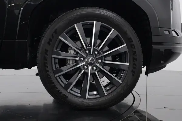 2025 Lexus Gx — photo 2