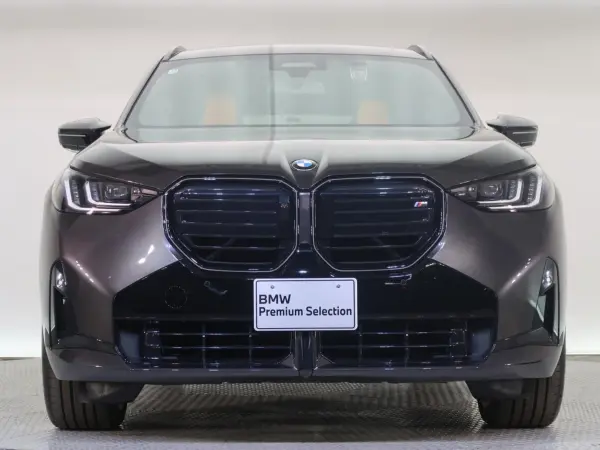 2025 Bmw X3 — photo 9 | Tuminion Kenya