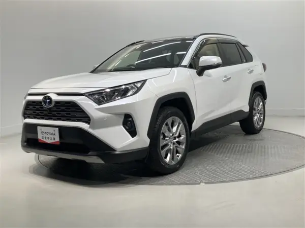 Toyota RAV4 2.0 G Z Package 4WD Sunroof Around View Monitor Blind Spot Monitor 4WD (Pearl Mica)