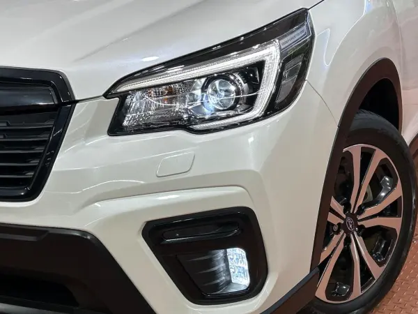 2019 Subaru Forester — photo 8 | Tuminion Kenya