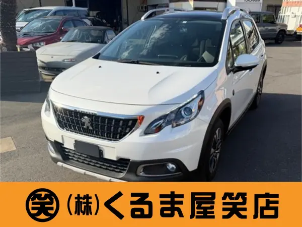 Peugeot 2008 Cross City (Pearl White)