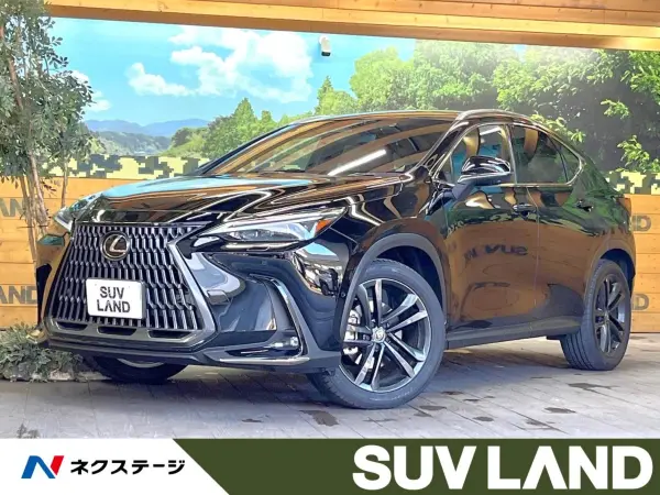 Lexus NX 350h Version L 4WD Panoramic Sunroof Genuine 14-inch Navigation All-Round Camera Pre-Crash Safety Radar Cruise Blind Spot Monitor Digital Inner Mirror Triple-Beam LED Headlights Seat Air Conditioner 20-inch AW (Black)