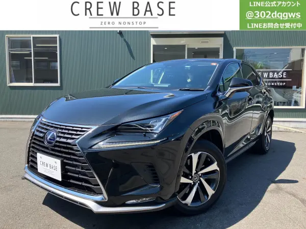 2021 Lexus Nx — photo 1