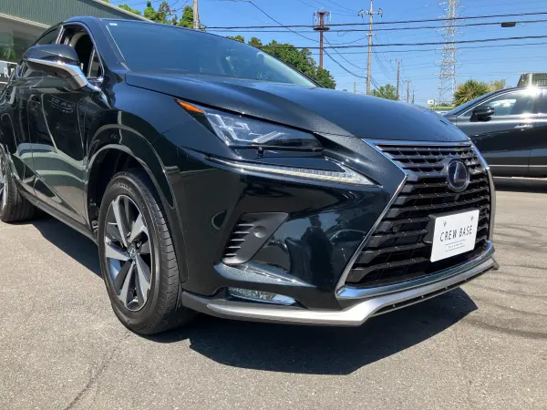 2021 Lexus Nx — photo 9 | Tuminion Kenya