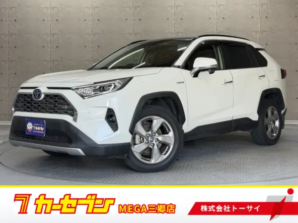 2019 Toyota RAV4 2.5 Hybrid G