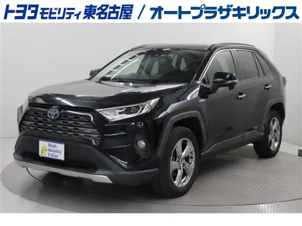 2019 Toyota  Rav4 — photo 1