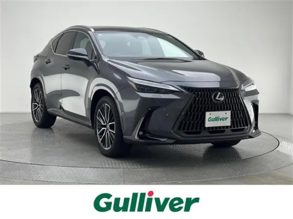 2024 Lexus Nx — photo 1