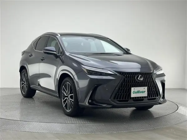 2024 Lexus Nx — photo 9 | Tuminion Kenya