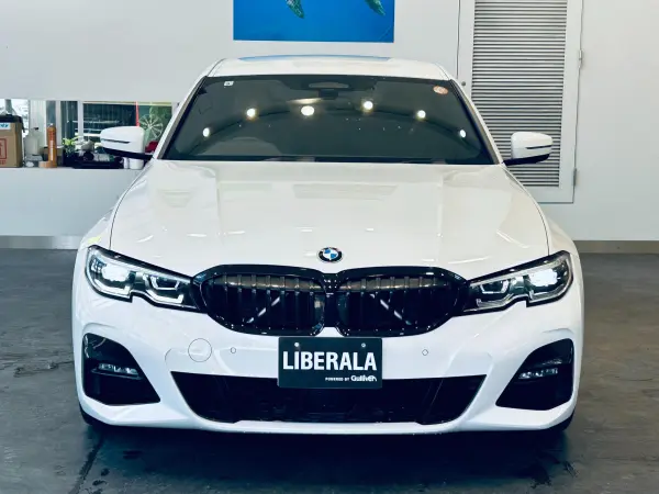 2019 Bmw 3 Series — photo 8 | Tuminion Kenya