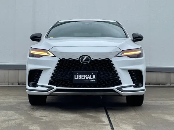 2023 Lexus Rx — photo 2 | Tuminion Kenya