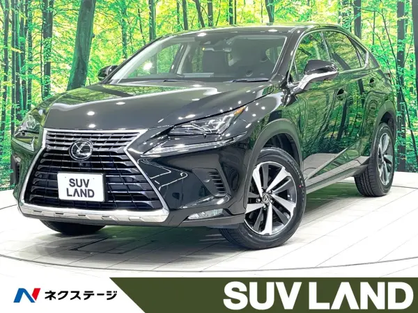 Lexus NX300 I Package Non-Smoking Car Genuine 10-inch Navigation All-Around Camera Full-Seg 3-Eye LED Power Rear Gate Seat Heater Black Leather Radar Cruise (Graphite Black Glass Flake)