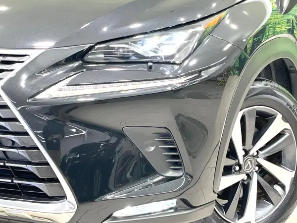 2019 Lexus Nx — photo 8 | Tuminion Kenya