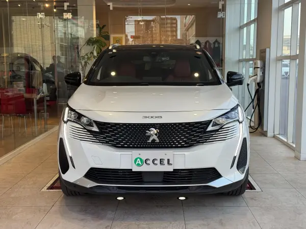 2021 Peugeot 3008 — photo 9 | Tuminion Kenya