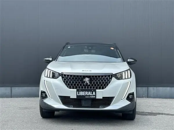 2021 Peugeot 2008 — photo 8 | Tuminion Kenya