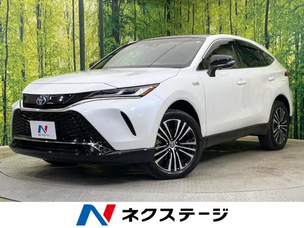 2023 Toyota Harrier — photo 1