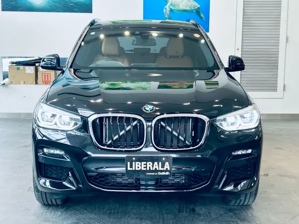 2021 Bmw X3 — photo 8 | Tuminion Kenya