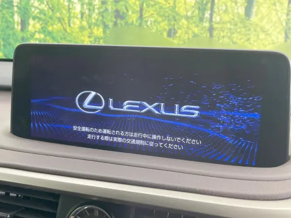 2020 Lexus Rx — photo 7 | Tuminion Kenya