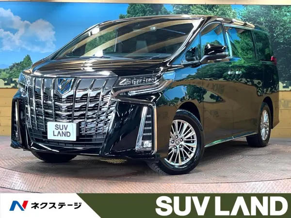 2022 Toyota Alphard — photo 1