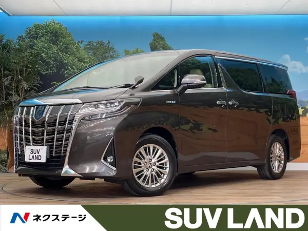2019 Toyota Alphard — photo 1