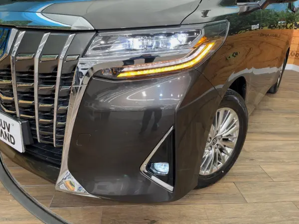 2019 Toyota Alphard — photo 8 | Tuminion Kenya
