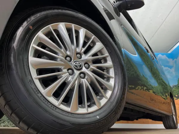 2019 Toyota Alphard — photo 9 | Tuminion Kenya