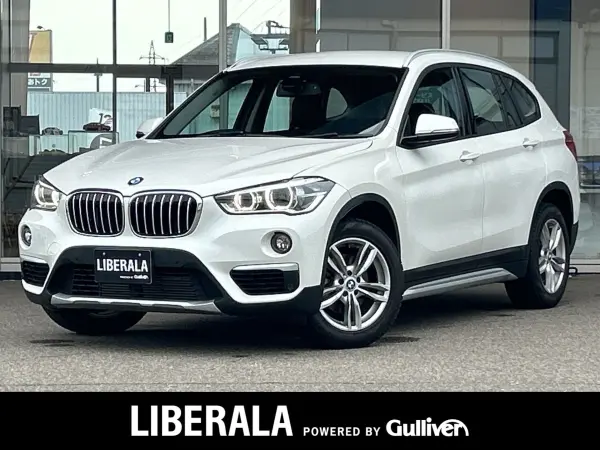 2019 Bmw X1 — photo 1