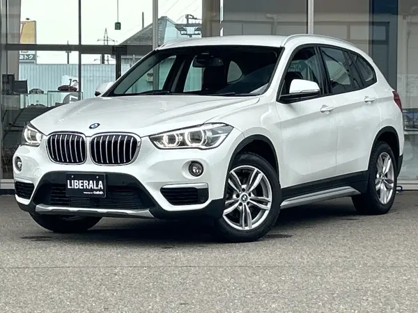 2019 Bmw X1 — photo 9 | Tuminion Kenya
