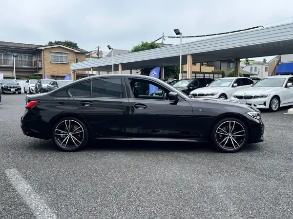 2019 Bmw 3 Series — photo 8 | Tuminion Kenya