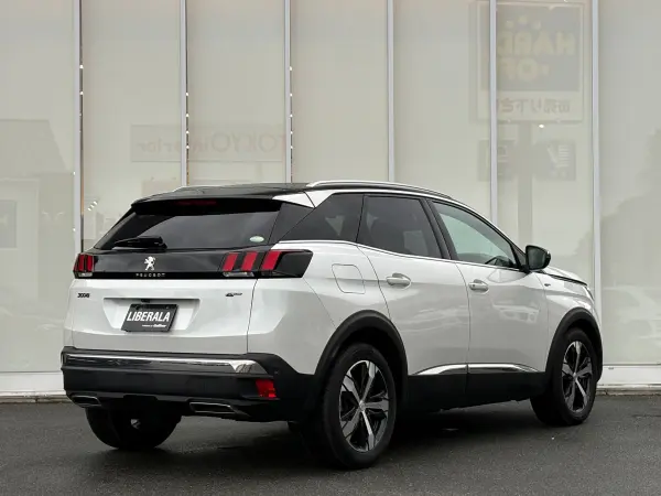 2019 Peugeot 3008 — photo 9 | Tuminion Kenya