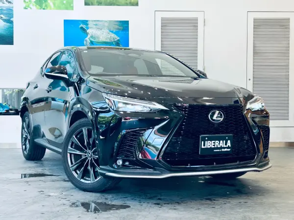 2023 Lexus Nx — photo 7 | Tuminion Kenya