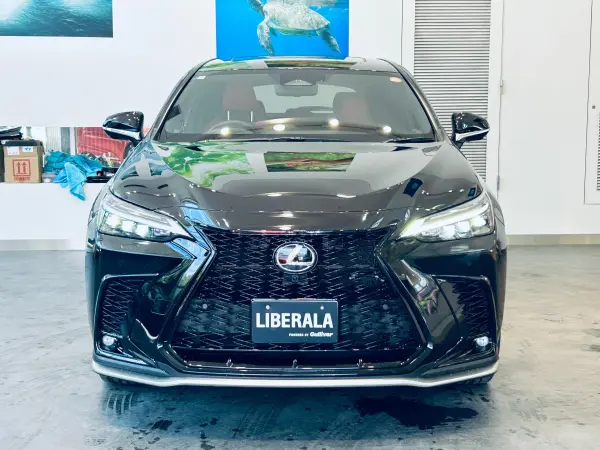 2023 Lexus Nx — photo 8 | Tuminion Kenya