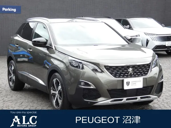2020 Peugeot 3008 — photo 1