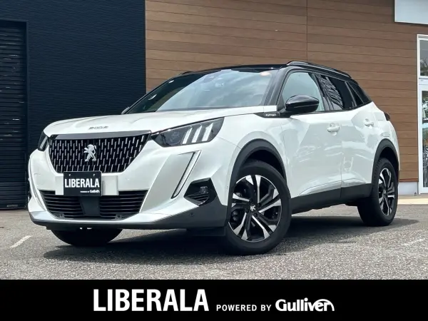 2020 Peugeot 2008 — photo 1