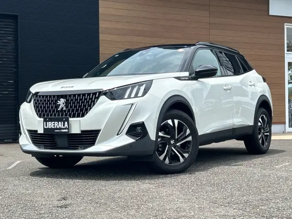 2020 Peugeot 2008 — photo 2 | Tuminion Kenya
