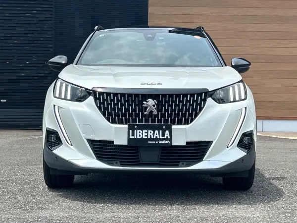 2020 Peugeot 2008 — photo 3 | Tuminion Kenya