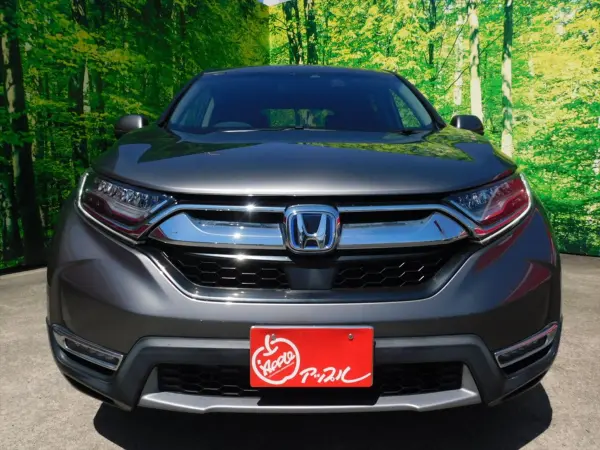 2021 Honda Cr-v — photo 2 | Tuminion Kenya