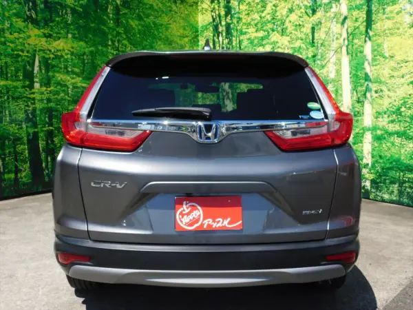 2021 Honda Cr-v — photo 3 | Tuminion Kenya