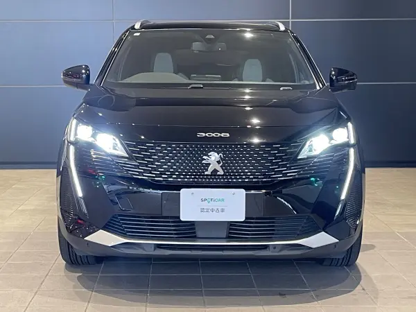 2021 Peugeot 3008 — photo 2 | Tuminion Kenya