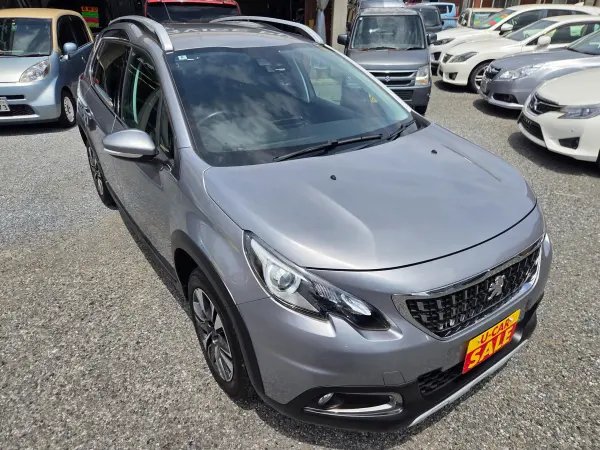 2018 Peugeot 2008 — photo 2 | Tuminion Kenya