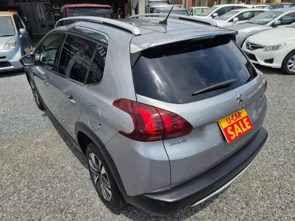 2018 Peugeot 2008 — photo 3 | Tuminion Kenya