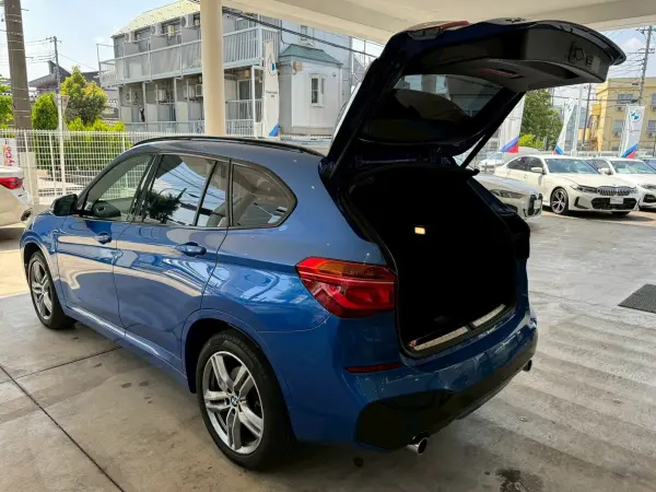 2018 Bmw X1 — photo 8 | Tuminion Kenya
