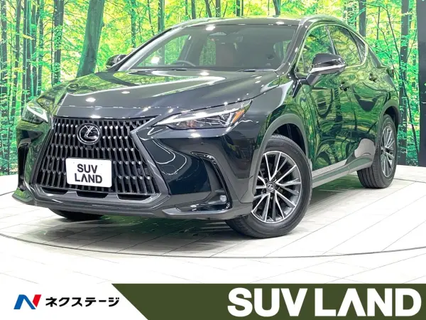 2024 Lexus Nx — photo 1